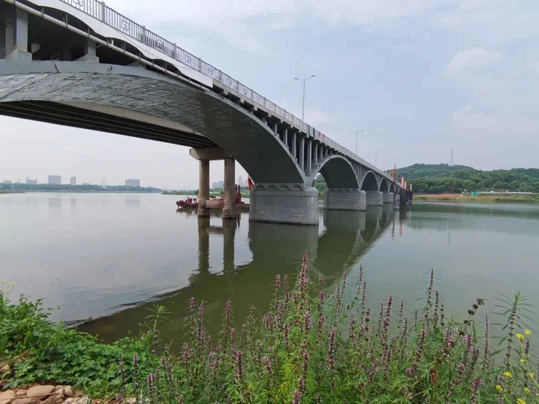 宁海南门大桥简介图片