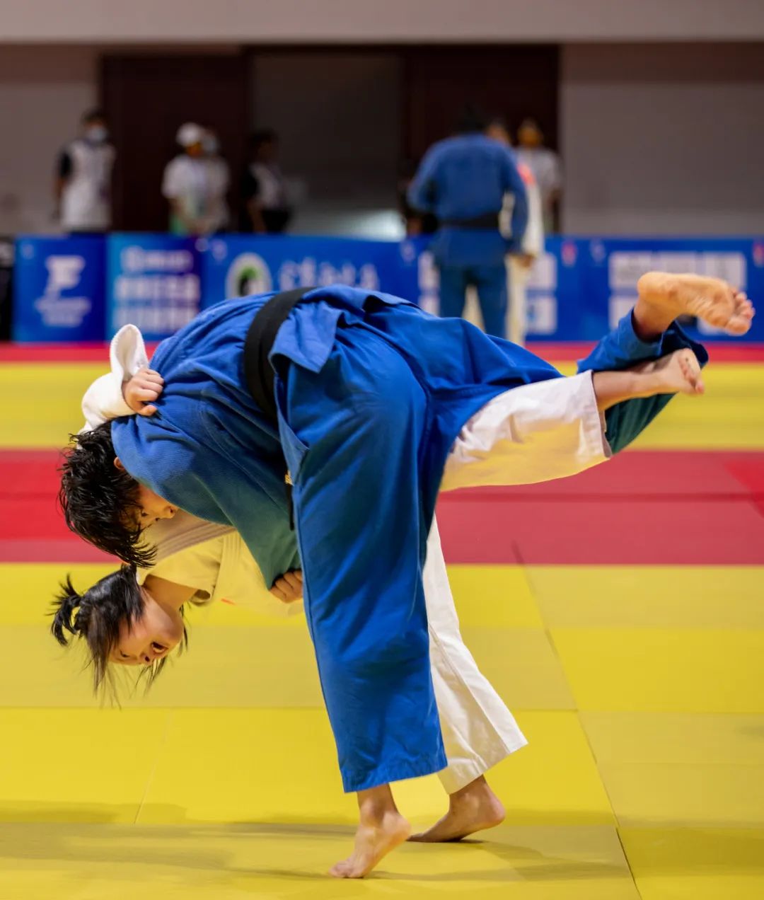 省运会柔道比赛开赛首日金华代表队收获3金5银3铜